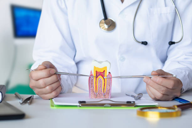 Best Pediatric Emergency Dentist in Lake Of The Woods, AZ